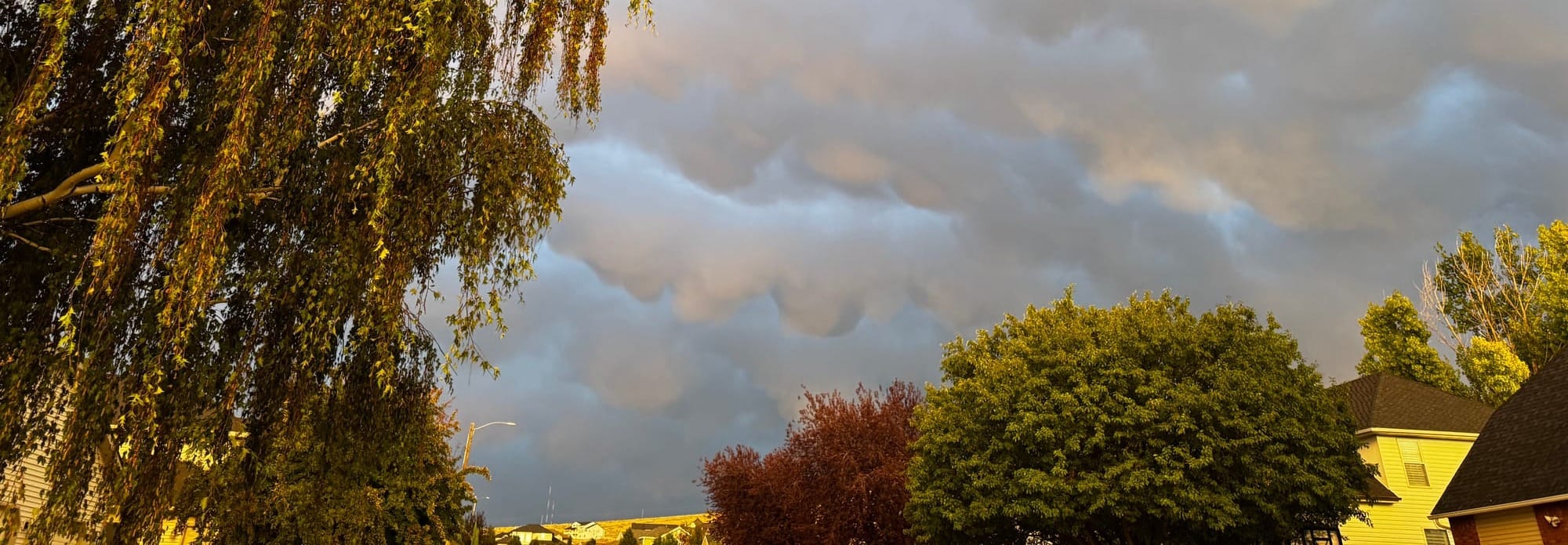 Weekend Wrap 9/28/2025