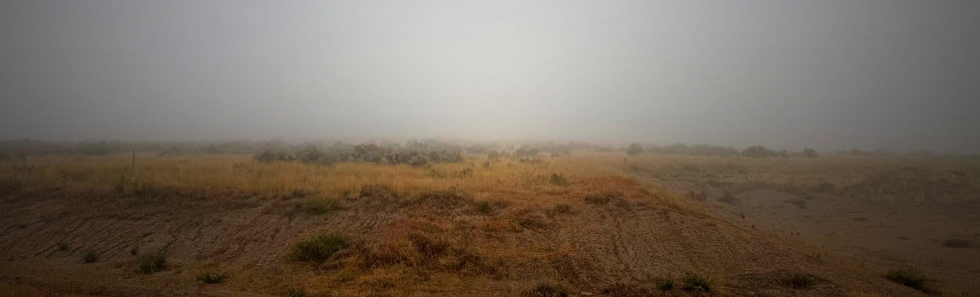 Weekend Wrap 10/05/2025