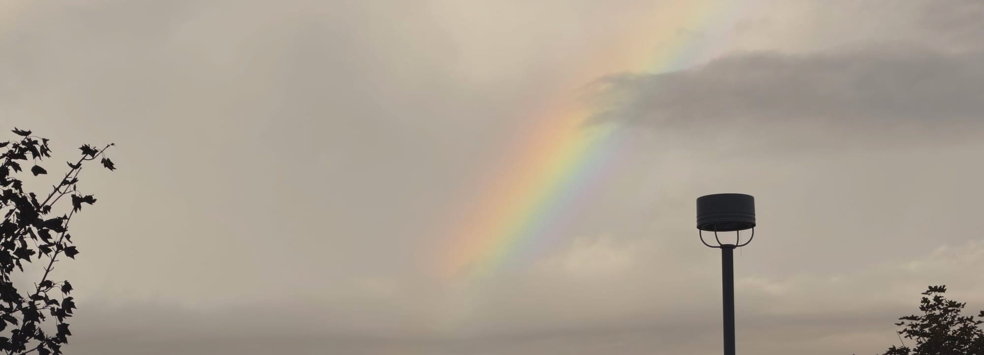 Weekend Wrap 10/12/2025