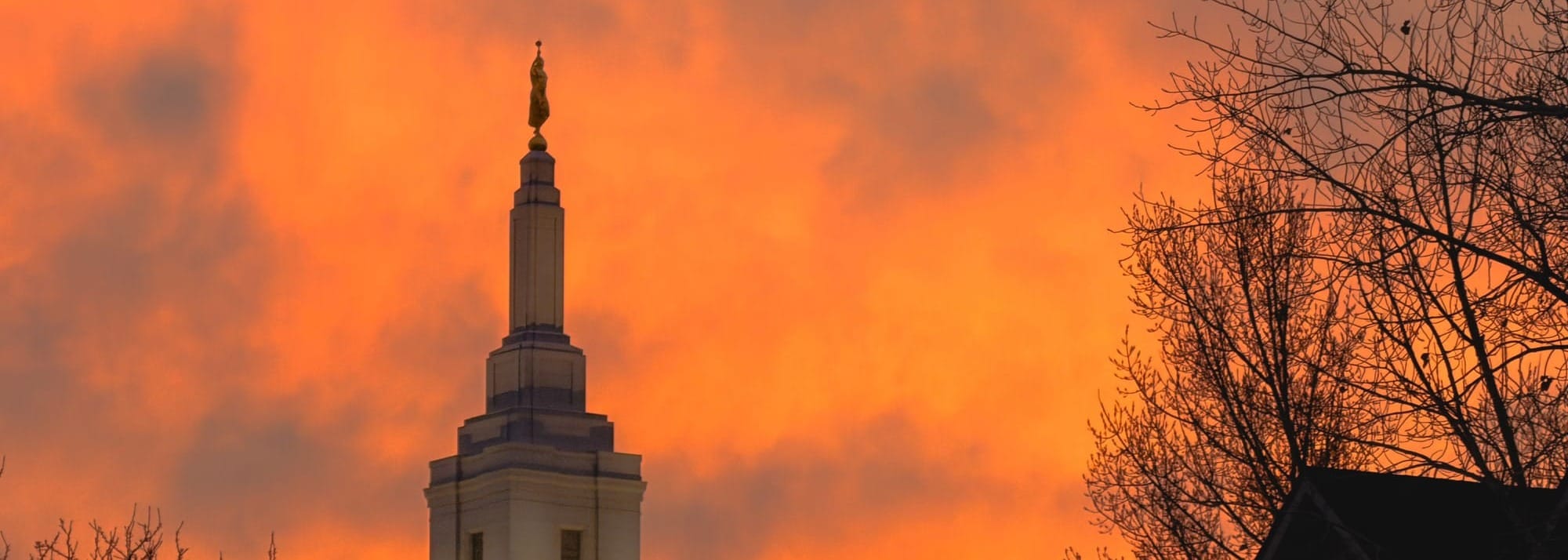 Weekend Wrap 12/07/2025