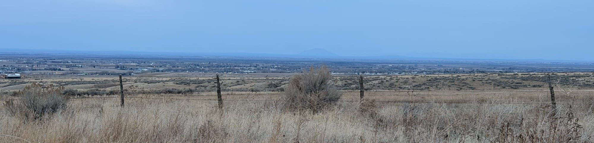 Weekend Wrap 2/08/2026