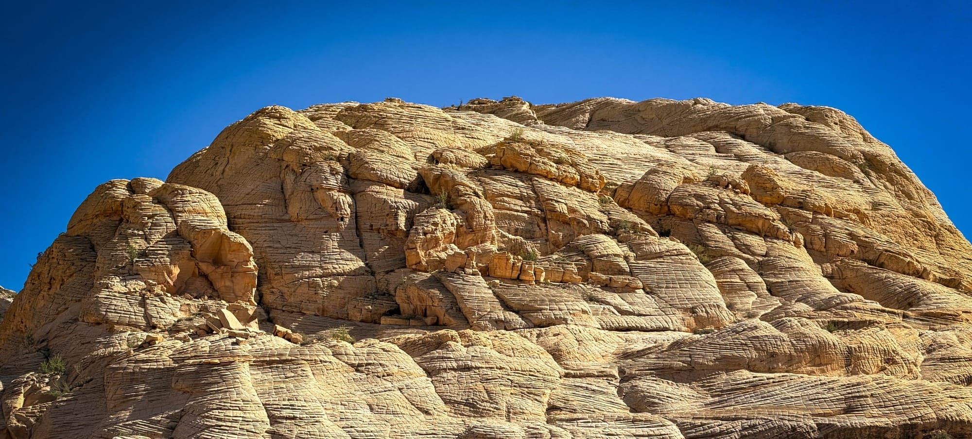 Gentle Refinement Month 4 — First Quarter Recap