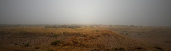 Weekend Wrap 10/05/2025