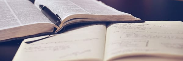 Training to Write My Next Novel