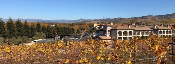 Weekend Wrap 11/02/2025