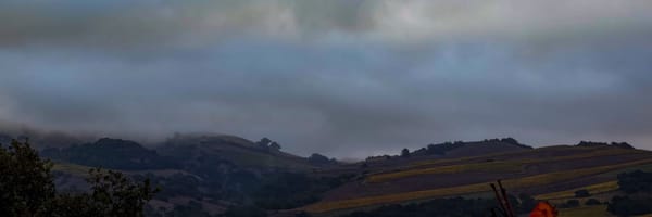 Weekend Wrap 11/09/2025