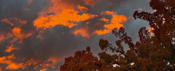 Weekend Wrap 11/30/2025