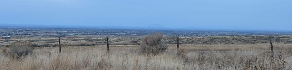 Weekend Wrap 2/08/2026