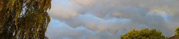 Weekend Wrap 2/22/2026